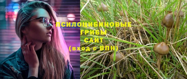 a pvp Ростов