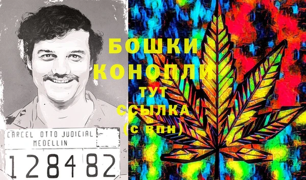 дмт Россошь