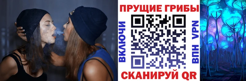 Галлюциногенные грибы мухоморы  Купить где  Свирск 